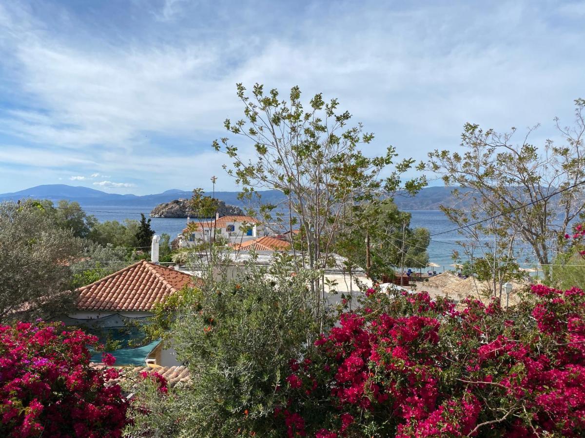 Villa Horizon *